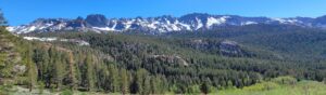 Summer Research Opportunity: Surveying Small Mammals in Yosemite National Park